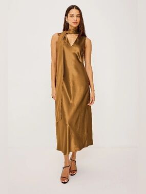 Rails Lorenza Dress in Ginger size large Waist